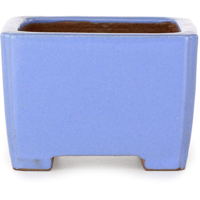 Maceta cuadrada azul para bonsái de Shibakatsu - 100 x 100 x 67 mm