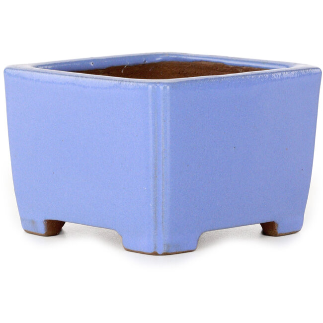 Pot à bonsaï carré bleu de Shibakatsu - 100 x 100 x 67 mm