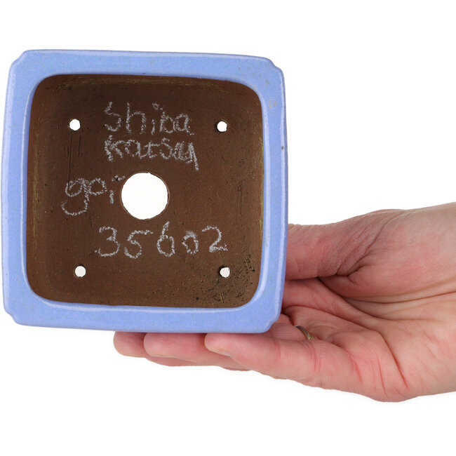 Maceta cuadrada azul para bonsái de Shibakatsu - 100 x 100 x 67 mm