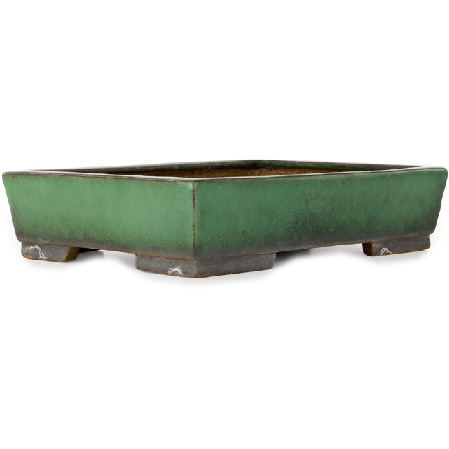 Maceta rectangular verde para bonsái de Shuhou - 380 x 265 x 85 mm