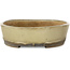 Ovaler, cremefarbener Bonsaitopf von Nakawatari – 370 x 255 x 68 mm