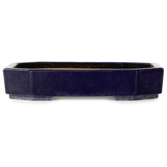  Hattori Tomoyuki 312 mm oval dark blue bonsai pot by Hattori, Tokoname, Japan
