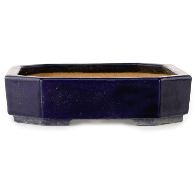 Oval dark blue bonsai pot by Hattori - 312 x 238 x 62 mm