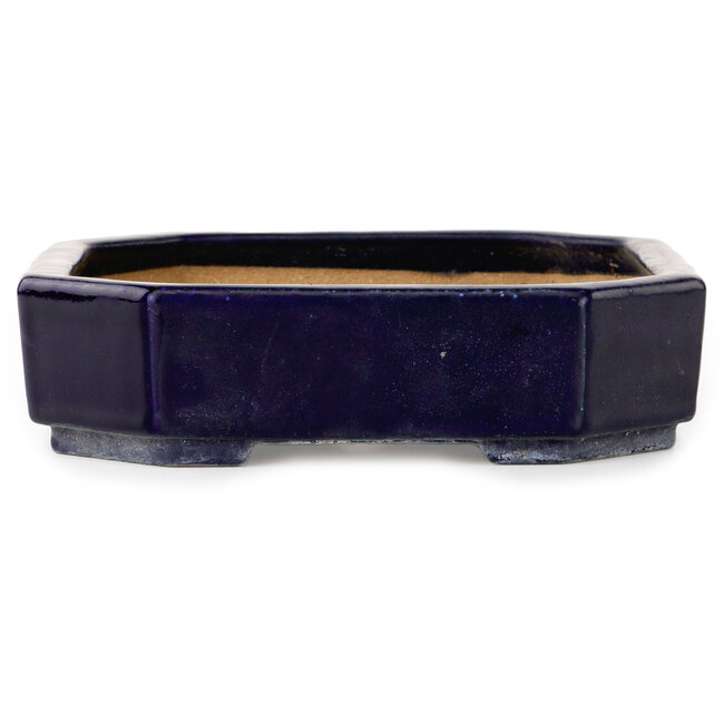 Oval dark blue bonsai pot by Hattori - 312 x 238 x 62 mm