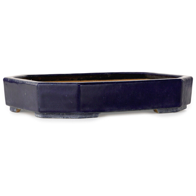 Vaso bonsai ovale blu scuro di Hattori - 312 x 238 x 62 mm