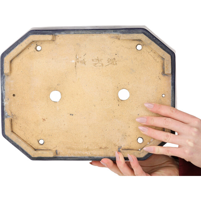 Pot à bonsaï ovale bleu foncé de Hattori - 312 x 238 x 62 mm