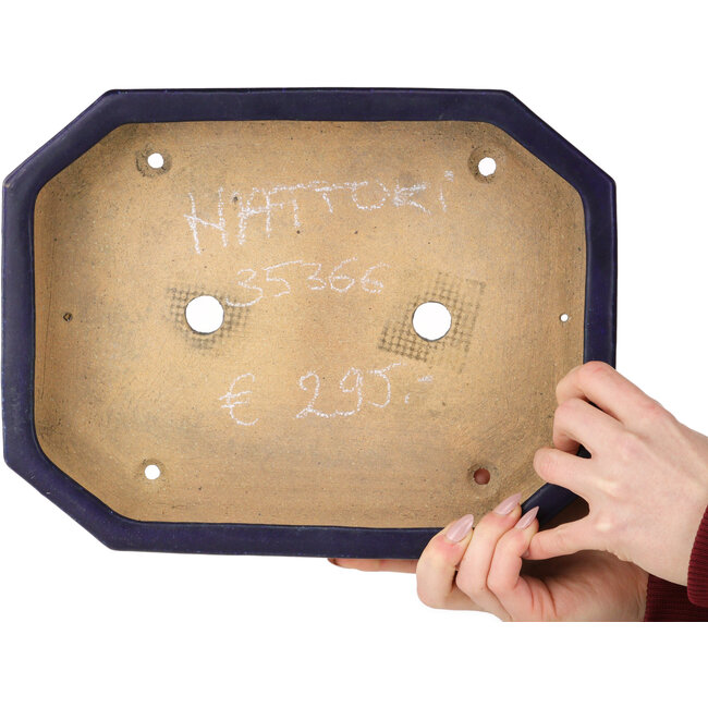 Ovaler, dunkelblauer Bonsai-Topf von Hattori – 312 x 238 x 62 mm