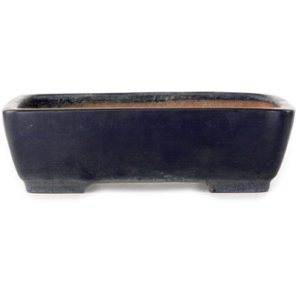  Yamafusa - Takehiko Koie Pot à bonsaï rectangulaire bleu foncé de 288 mm, fabriqué par Yamafusa à Tokoname, au Japon.