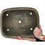 Oval unglazed bonsai pot by Koyou - 385 x 303 x 100 mm