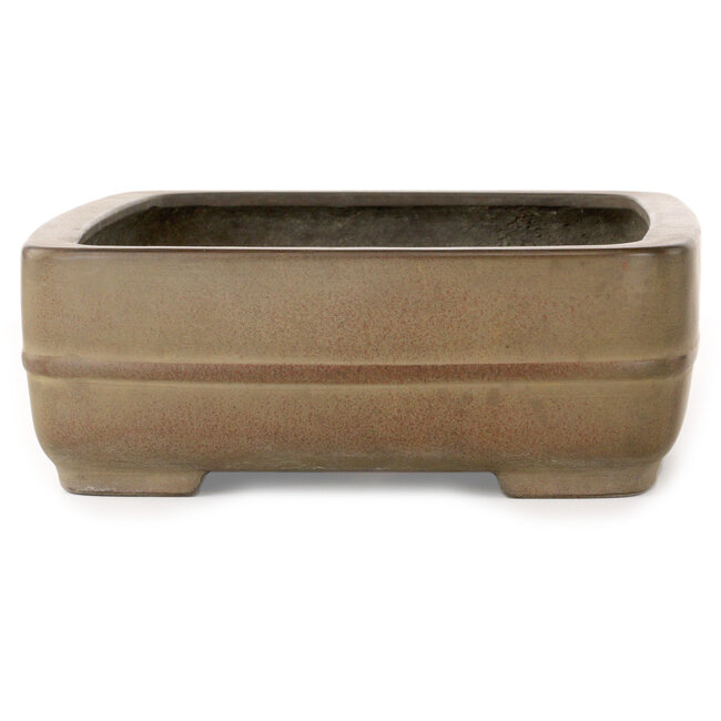 Pot à bonsaï rectangulaire non émaillé par Eiraku - 352 x 263 x 93 mm
