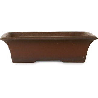 Izumiya - Zenigo (Matsushita Masuo) Vaso bonsai rettangolare non smaltato da 325 mm di Izumiya (Zenigo), Giappone