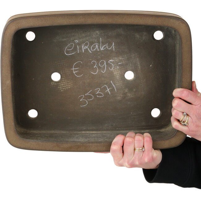 Pot à bonsaï rectangulaire non émaillé par Eiraku - 352 x 263 x 93 mm