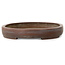 Vaso bonsai ovale non smaltato - 362 x 288 x 45 mm