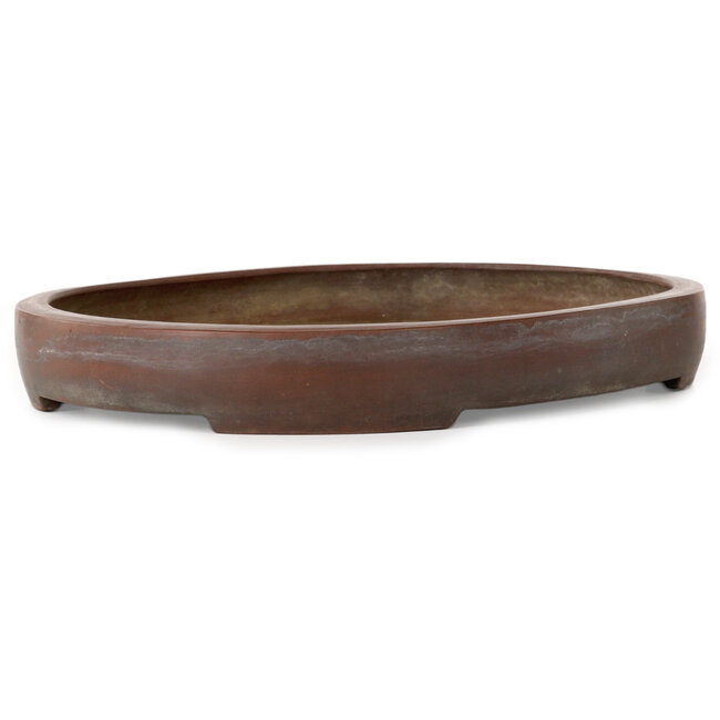 Oval unglazed bonsai pot - 362 x 288 x 45 mm