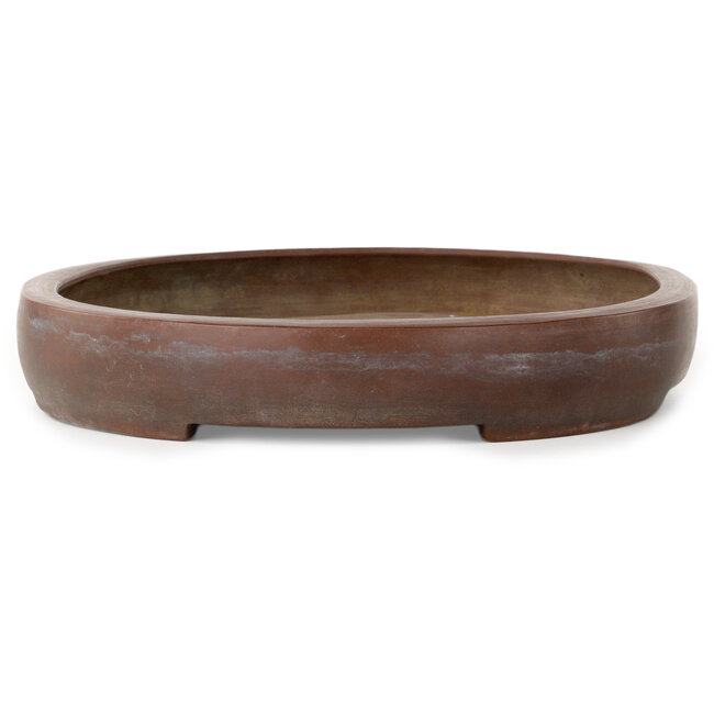 Vaso bonsai ovale non smaltato - 362 x 288 x 45 mm
