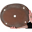 Pot ovale non émaillé pour bonsaï - 362 x 288 x 45 mm