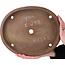 Pot ovale non émaillé pour bonsaï - 362 x 288 x 45 mm