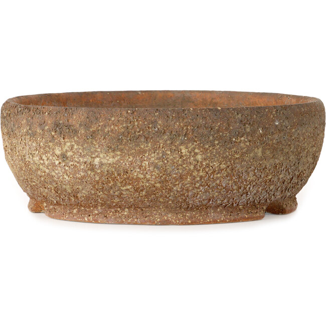 Vaso bonsai rotondo non smaltato - 305 x 305 x 107 mm