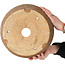 Maceta redonda sin esmaltar para bonsái - 305 x 305 x 107 mm