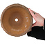 Vaso bonsai rotondo non smaltato - 205 x 205 x 115 mm