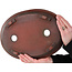 Pot à bonsaï ovale non émaillé de Nakawatari - 356 x 260 x 43 mm