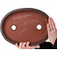 Pot à bonsaï ovale non émaillé de Nakawatari - 356 x 260 x 43 mm