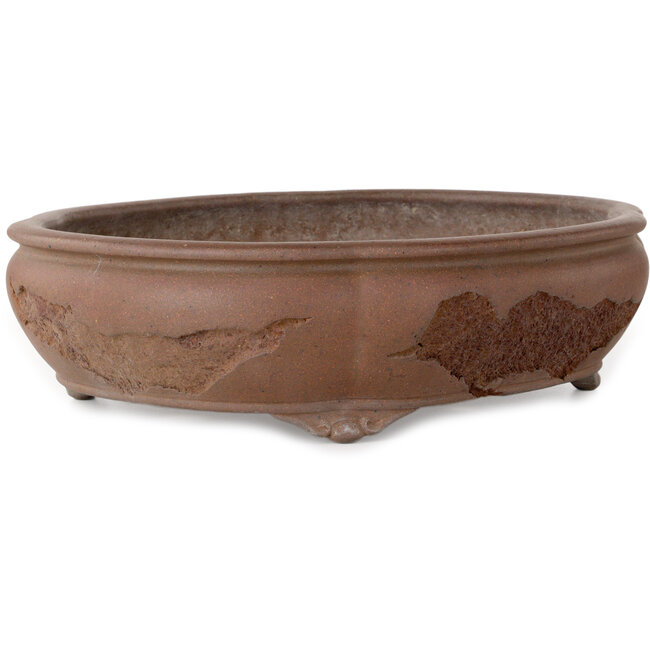 Vaso bonsai Mokko non smaltato di Yamaaki Koshosen (seconda generazione) - 400 x 345 x 108 mm