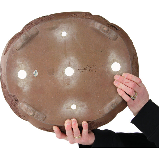 Pot à bonsaï Mokko non émaillé de Yamaaki Koshosen (deuxième génération) - 400 x 345 x 108 mm