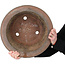 Round unglazed bonsai pot by Keizan - 412 x 412 x 138 mm