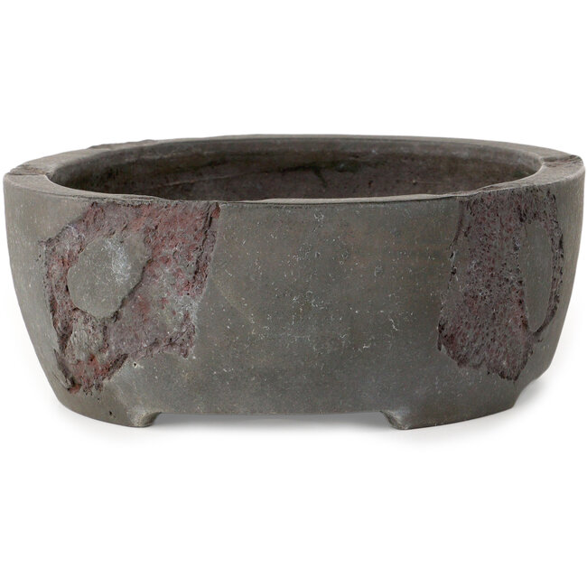 Vaso bonsai ovale non smaltato di Yamaaki Shosen/Akitsugu/Juudo (prima generazione) - 325 x 250 x 97 mm