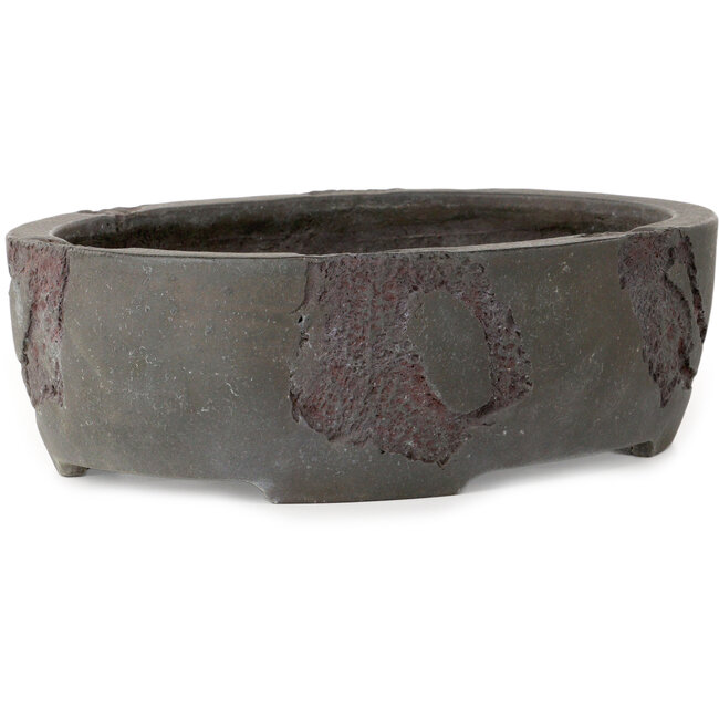 Vaso bonsai ovale non smaltato di Yamaaki Shosen/Akitsugu/Juudo (prima generazione) - 325 x 250 x 97 mm