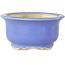 Ronde blauwe bonsaipot van Horie Bikoh - 95 x 95 x 48 mm