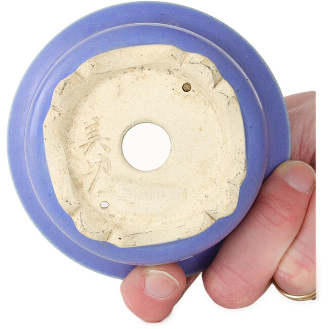 Maceta redonda azul para bonsái de Horie Bikoh - 95 x 95 x 48 mm