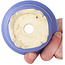 Pot à bonsaï rond bleu de Horie Bikoh - 95 x 95 x 48 mm