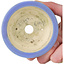 Ronde blauwe bonsaipot van Horie Bikoh - 95 x 95 x 48 mm
