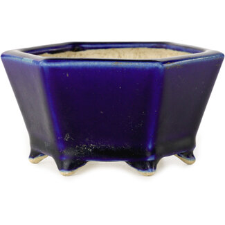 Horie Bikoh Pot à bonsaï hexagonal bleu de 105 mm par Horie Bikoh, Fukushima