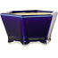 Vaso bonsai esagonale blu di Horie Bikoh - 105 x 105 x 55 mm