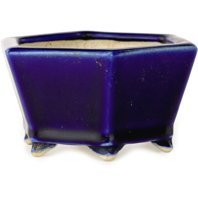 Maceta hexagonal azul para bonsái de Horie Bikoh - 105 x 105 x 55 mm