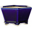 Pot à bonsaï hexagonal bleu de Horie Bikoh - 105 x 105 x 55 mm