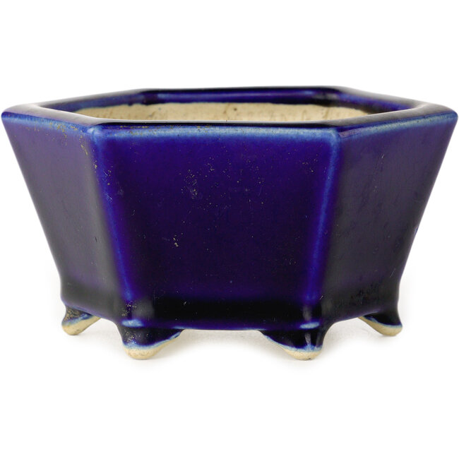 Vaso bonsai esagonale blu di Horie Bikoh - 105 x 105 x 55 mm