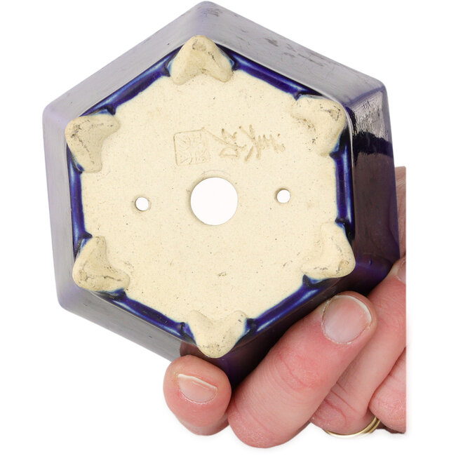 Maceta hexagonal azul para bonsái de Horie Bikoh - 105 x 105 x 55 mm