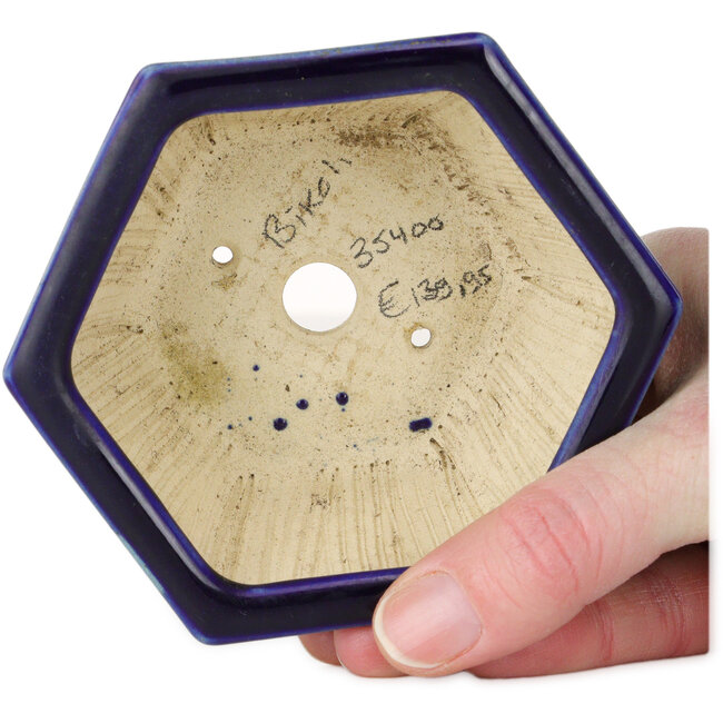 Maceta hexagonal azul para bonsái de Horie Bikoh - 105 x 105 x 55 mm