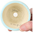 Pot à bonsaï rond bleu de Horie Bikoh - 80 x 80 x 53 mm