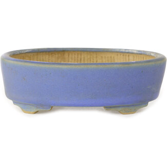 Horie Bikoh Maceta para bonsái azul ovalada de 123 mm de Horie Bikoh, Fukushima