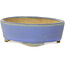 Ovale blauwe bonsaipot van Horie Bikoh - 123 x 100 x 40 mm