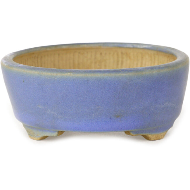 Maceta ovalada azul para bonsái de Horie Bikoh - 123 x 100 x 40 mm