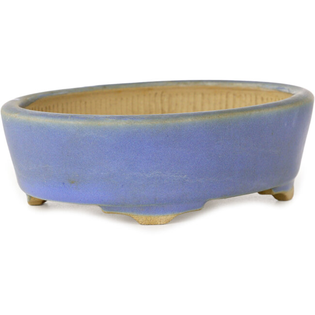 Vaso bonsai ovale blu di Horie Bikoh - 123 x 100 x 40 mm