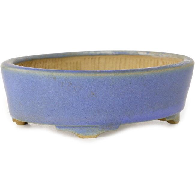 Oval blue bonsai pot by Horie Bikoh - 123 x 100 x 40 mm