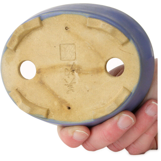 Pot ovale bleu pour bonsaï par Horie Bikoh - 123 x 100 x 40 mm