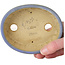 Pot ovale bleu pour bonsaï par Horie Bikoh - 123 x 100 x 40 mm